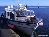 Roscoff - vlak voor het inschepen