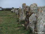 Camaret - Alignements de Lagatjar