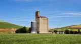 Columbia County Grain Growers