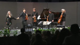 shost14-bows3.jpg