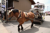 Horse-drawn car leaving with tourists