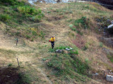 Man cutting the grass in the castle grounds