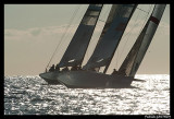 Louis Vuitton Trophy PAT1346.jpg