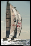 Louis Vuitton Trophy PAT1361.jpg