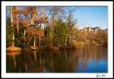Biltmore Fall Reflection