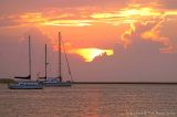 2846 - Sailboats at Fernandina Beach