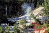 Steam from the mud pots on Lassen