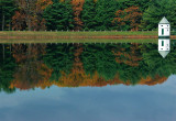 Fall Color