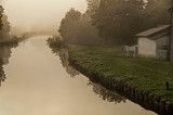 Misty morning