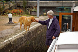 The lock dog