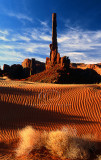 totem poles morning vertical 6.jpg