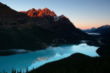 PA4S4632Peyto Aug 06.jpg