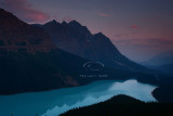 PA4S5164Peyto Aug 06.jpg