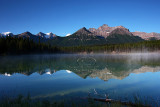 PA4S4769Icefields Pkwy Aug 06.jpg