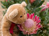 Sometimes I have to stop and smell the flowers