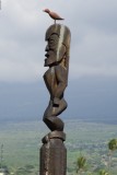 C4873 Ki'i at Ahu`ena