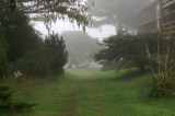 Pacific Grove Cemetary 04