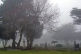 Pacific Grove Cemetary 07