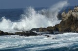 Pacific Grove/Asilomar 19