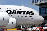 AIRBUS A380 MEL RF IMG_3312.jpg