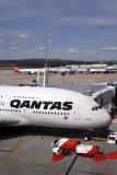 AIRBUS A380 MEL RF IMG_3338.jpg