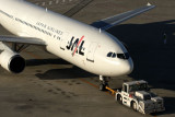JAL AIRBUS A300 600R HND RF IMG_7543.jpg