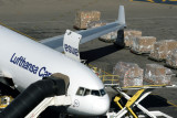 LUFTHANSA CARGO MD11F JNB RF IMG_1334.jpg