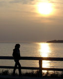 Rocky Harbour 009