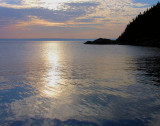 Wild Cove 003 11X14