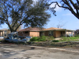 Sixteen Months After Katrina