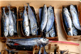 Fresh fish, beautiful packaging