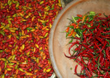 Hot and spicy