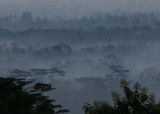 Mist in the valley