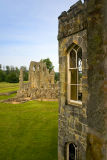 CRW_8370 bayham abbey.jpg