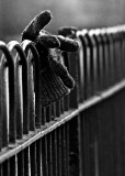 0517-DC.jpg