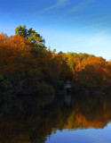 IMG_0082V winkworth.jpg