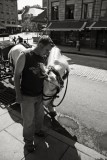 Sebastien and Duke, Montréal