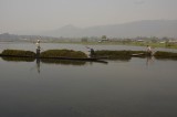 Farmers are gathering aquatic plants, Inle Lake