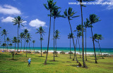jardim de ala2, Salvador, Ba.jpg