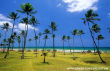Praia Jardim de Alá, Salvador, BA
