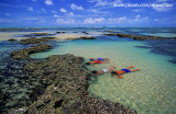 mergulho nas piscinas naturais da praia das fleixeiras, Trairi.jpg