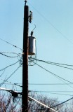 Utility Ganglion