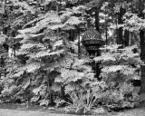 Ferns & Garden Heater.jpg