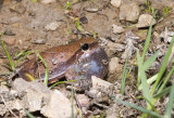 DSC_7027 2.jpg
