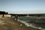 An Afternoon at the Beach