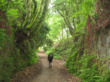 Back in the woods...