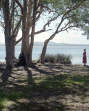 Myall Lakes