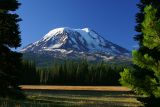 Mt Adams