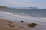 IMG_3908-01.jpg