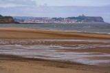IMG_3995-01.jpg